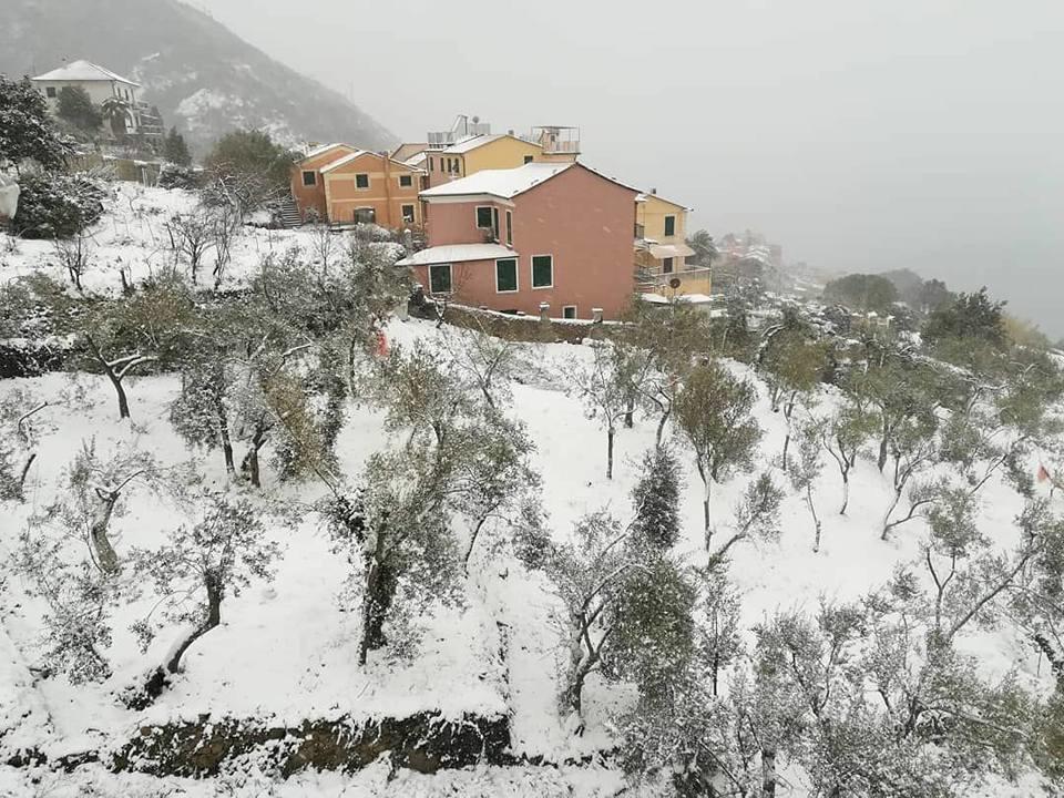 Perla Del Levante Hostel Framura Exteriör bild